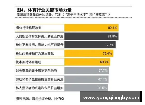 体育明星对体育组织发展的关键作用与影响探讨